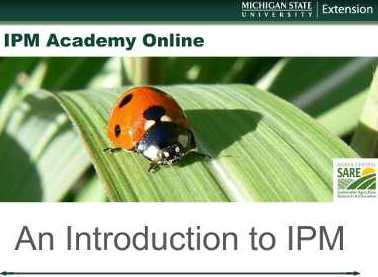 Integrated Pest Management Webinars Now Available On-Demand