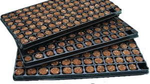 Three New Options For Growing Media