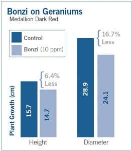 Figure 3. Bonzi on Geraniums