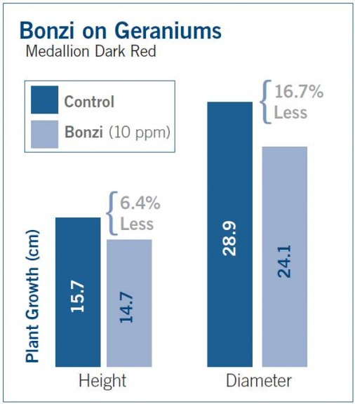 Figure 3. Bonzi on Geraniums