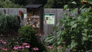 USDA Awards MSU $6.9 Million Grant To Help Bees