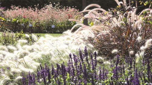2014 Michigan Garden Plant Tour Runs July 28 To August 8