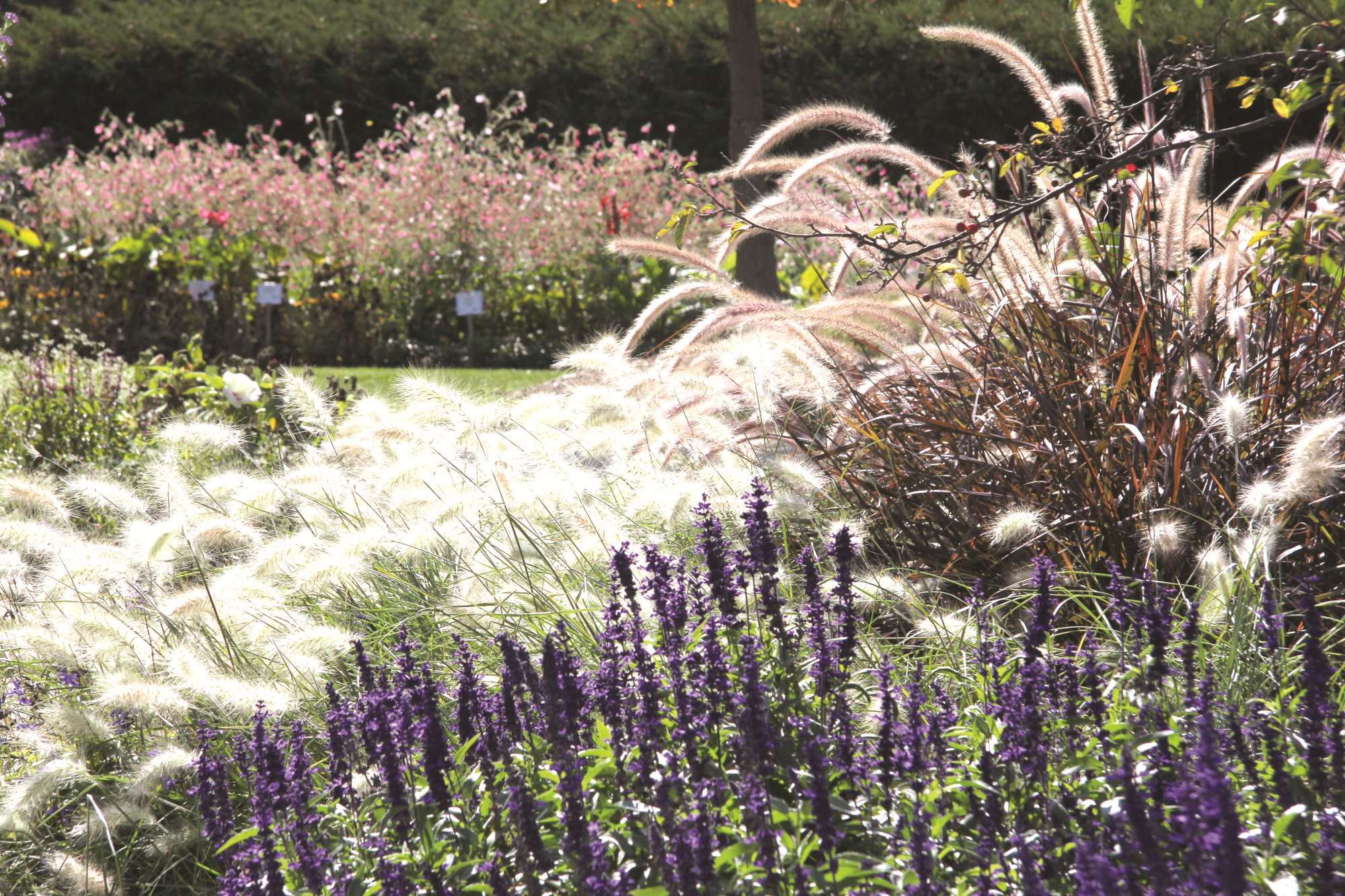 2014 Michigan Garden Plant Tour Runs July 28 To August 8 Greenhouse Grower