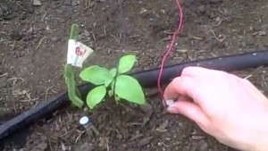 Tomorrow’s Greenhouse Techs Are In School STEM Programs Today