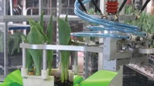 Future Greenhouse Automation Will Assist The Grower’s Expertise