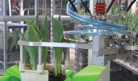 The Future Of Automation: Q&A With John Van de Vegte, Vineland Research And Innovation Centre