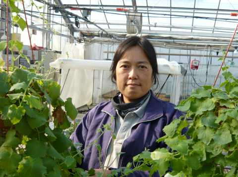 Yasuko Isobe, Suntory Flowers