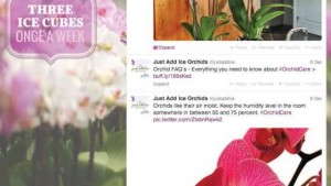 Content Marketing Success: The First Four Steps [Opinion]