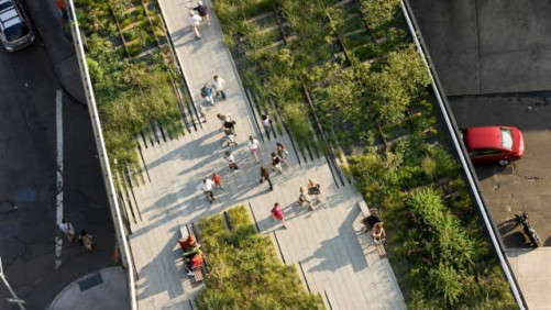 Growing For The New Green Revolution