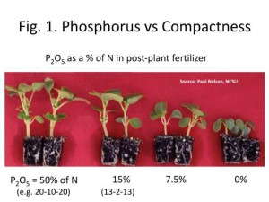 Figure 1. Phosphorus vs. Compactness