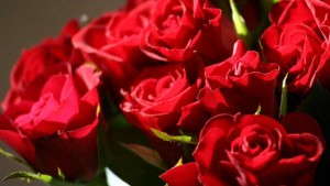 Consumers Want Fragrance, Vibrant Colors In Floral Purchases