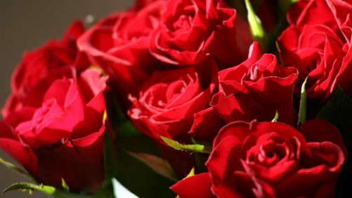 Consumers Want Fragrance, Vibrant Colors In Floral Purchases