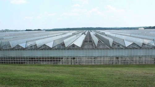 Greenhouse Glazings FAQ: National Greenhouse Manufacturers Association Offers Advice