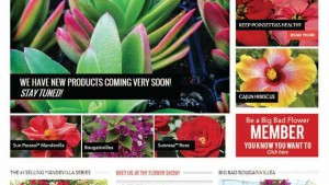 Selling Plants Online: Conquering The Next Frontier