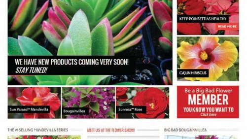 Selling Plants Online: Conquering The Next Frontier