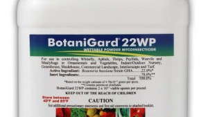 BotaniGard Provides Biological Insect Control