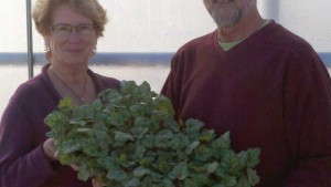 Emerald Coast Growers Founders Retire