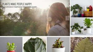 The Sill Shows New Yorkers How Plants Enhance Their Lives