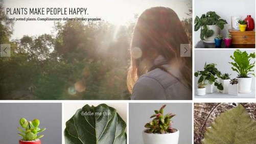 The Sill Shows New Yorkers How Plants Enhance Their Lives