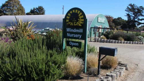Six Breeders To Partner For Exhibit At Windmill Nursery At 2014 California Spring Trials