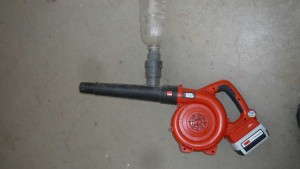 D.S. Cole Growers’ Six Tips For Releasing Predatory Mites