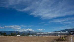 Exclusive: Danziger Is Building A State-Of-The-Art Stock Farm In Guatemala