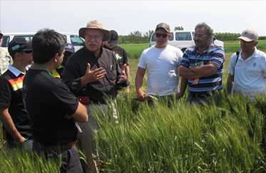 Plant Breeding For Drought Tolerance Short Course To Be Held