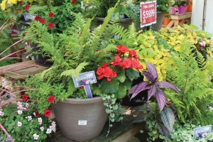 Containers: The New American Garden