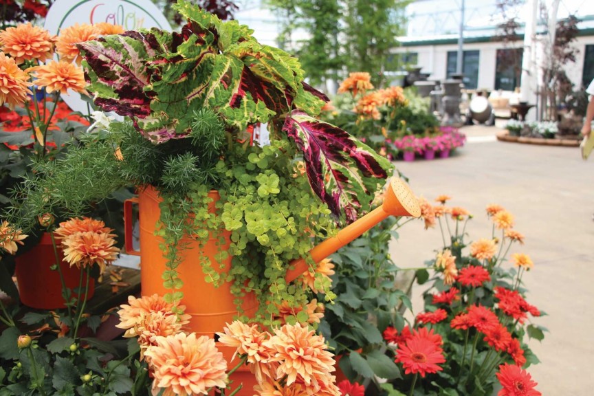 Containers: The New American Garden