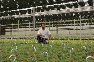 Rebuilding From Scratch