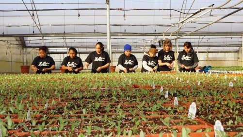Migrant Farm Workers Moving Around Less Than In The Past, According To New Study