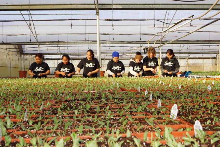 Starting Fresh With Staff