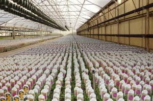 "We literally changed everything."