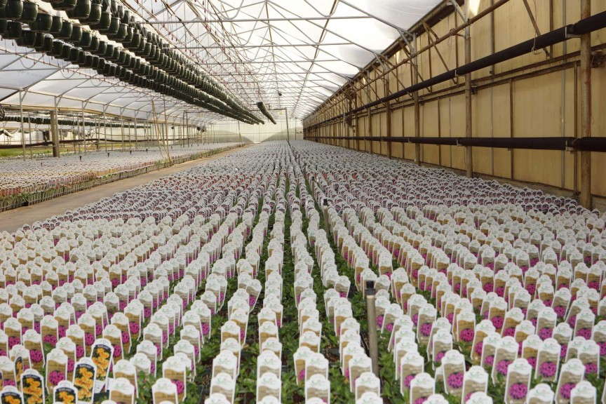 "We literally changed everything."