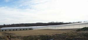 Managed Growth For The Future