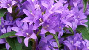 Top 5  Slideshows Of 2014