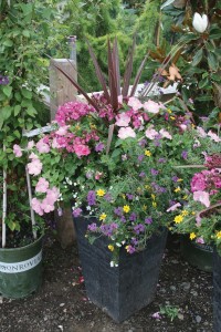 Containers: The New American Garden