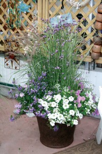 Containers: The New American Garden