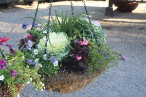 Containers: The New American Garden