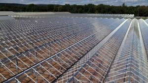 Behind The New Greenhouse Projects At Van de Wetering And Kurtz Farms