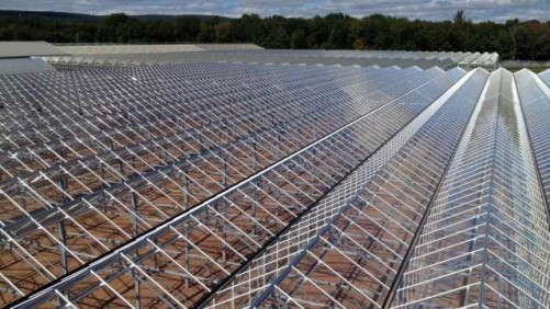 Behind The New Greenhouse Projects At Van de Wetering And Kurtz Farms