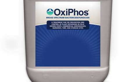 BioSafe’s OxiPhos And ZeroTol Are Effective For Controlling Downy Mildew, Study Shows