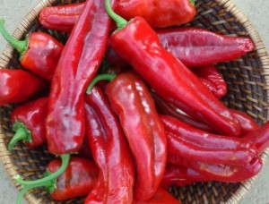Pepper 'Giant Ristra'