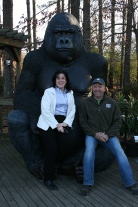 The Photo Op Gorilla At The Good Earth