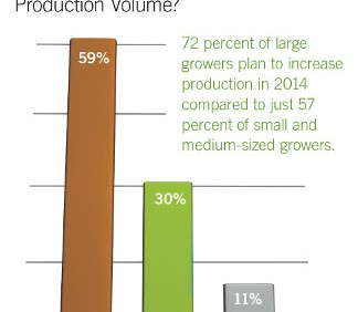 Growers Expect Increases In Production For 2014
