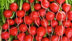 4 New All-America Selections Vegetable Winners