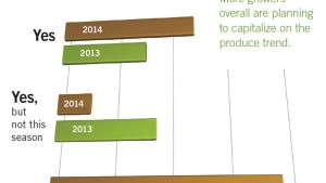 Growers Continue Shift To Greenhouse Vegetables