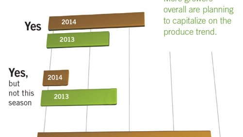 Growers Continue Shift To Greenhouse Vegetables