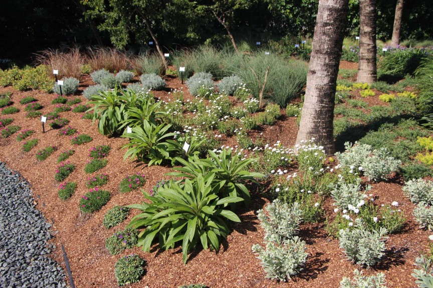 Costa Grows Perennials, Too