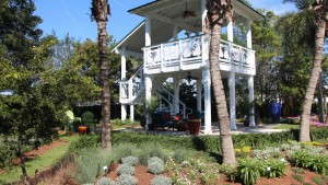 Costa Farms Celebrates Indoor Plant Week With A College Campus Plant Giveaway